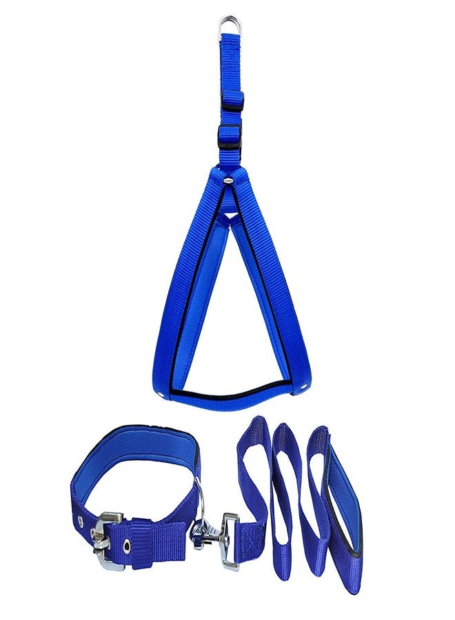 Skora Dog Harness and Collar+Leash Combo, Blue - Image 1